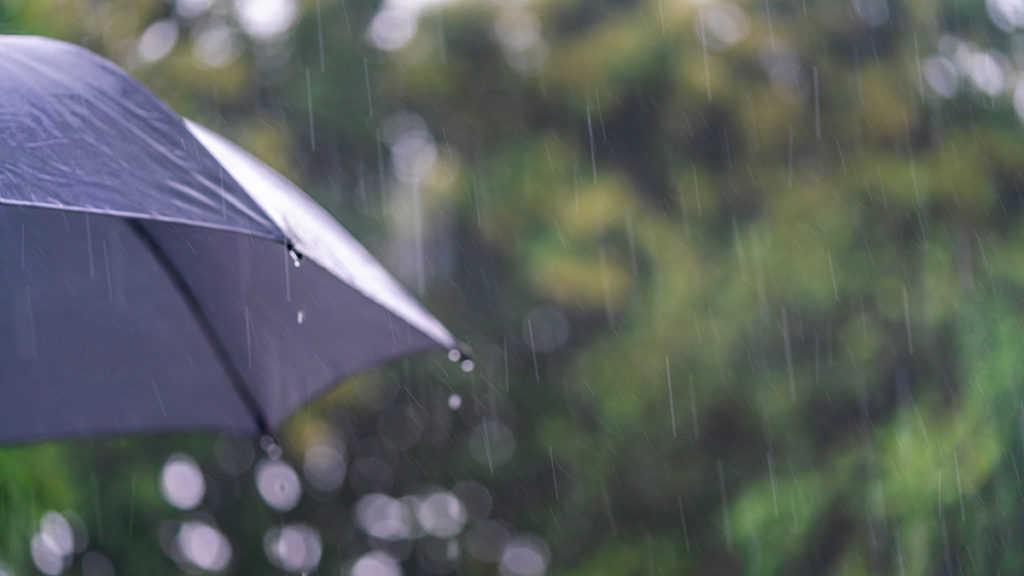 rainy season gambia