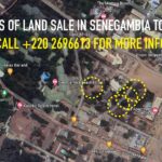 Gambia Real Estate News Prime Plots of Land for sale in tourist area Senegambia The Gambia
