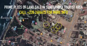 Gambia Real Estate News Prime Plots of Land for sale in tourist area Senegambia The Gambia